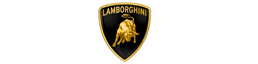 Pièces détachées pour chaudières Lamborghini