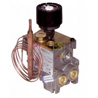 Bloc Combustioniné 0.630.011 - AUER : B1238470, Pression  entrée 50 mBars,Particularité : double entrée et sortieRadiateur type 4100-5100 Eurosit 630011
