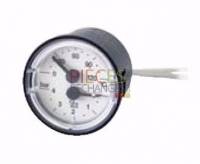 Thermomanomètre D40 cap1500