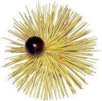 Herisson Nylon Ø 200mm   12x175 F avec boule